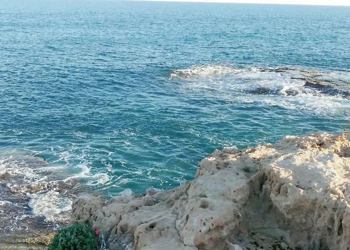 Estudio Jardin Del Mar