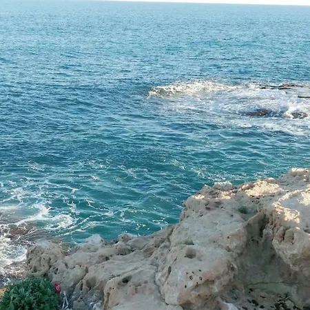 Estudio Jardín Del Mar